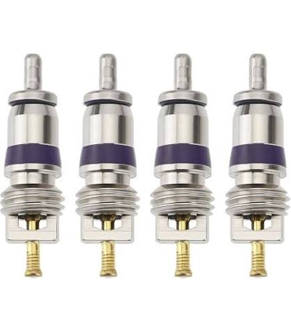 COMPRESSOR VALVE CORE BIG